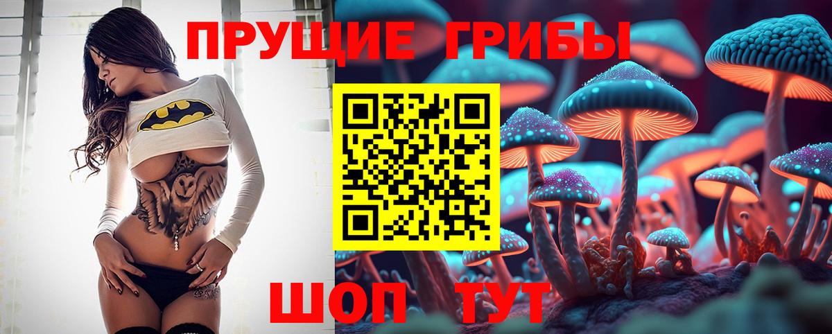 Кубинка  Галлюциногенные грибы Psilocybine cubensis  Вход с VPN  Псилоцибиновые грибы прущие грибы 